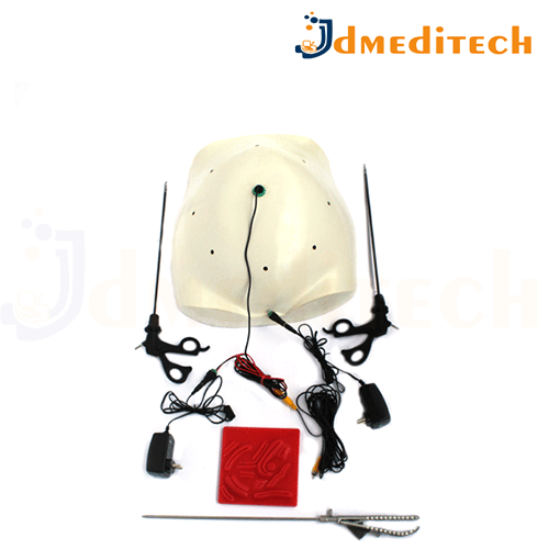 Gynecology Endotrainer SET jdmeditech