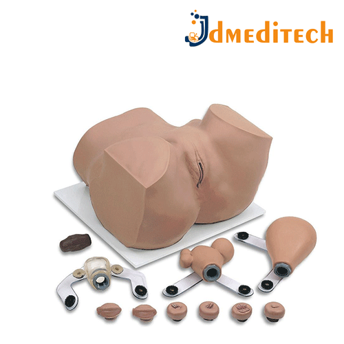 Gynecology Examination Model jdmeditech