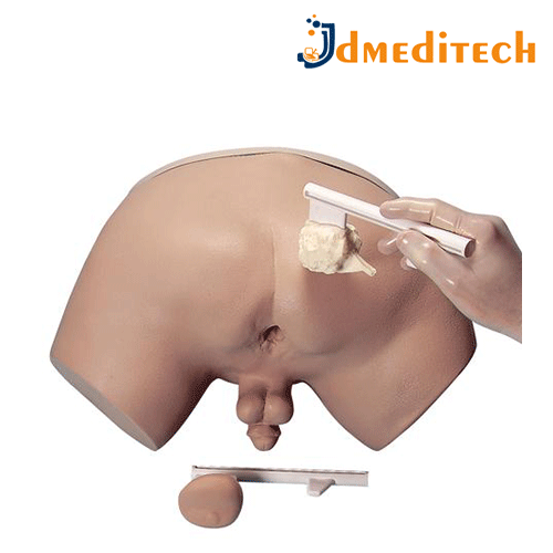 Prostate Examination Simulator jdmeditech
