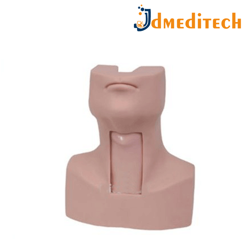 Tracheostomy Simulator jdmeditech