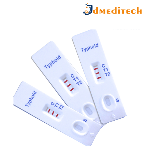 Typhoid Rapid Test Kit jdmeditech