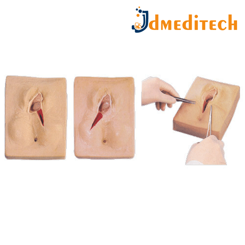 Vulva Suturing Training Simulator Model jdmeditech