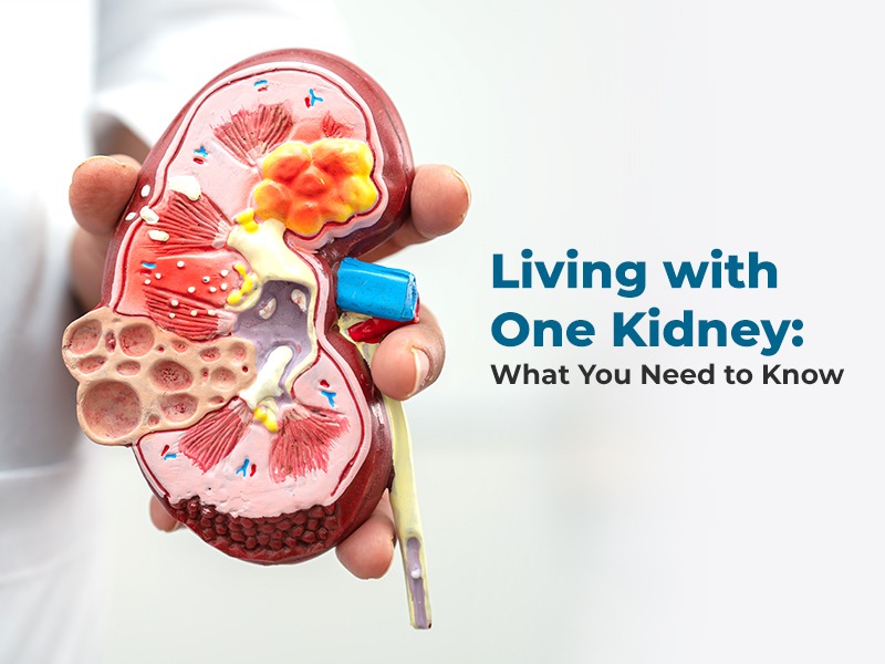 Nephrectomy Surgery: Procedure, Types, and Recovery Explained