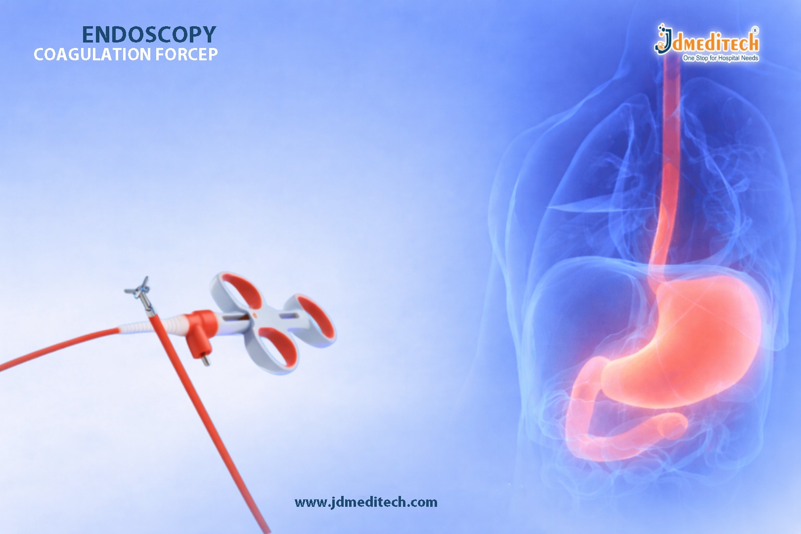 Endoscopy Coagulation Forceps: Features, Uses & Surgical Benefits Explained
