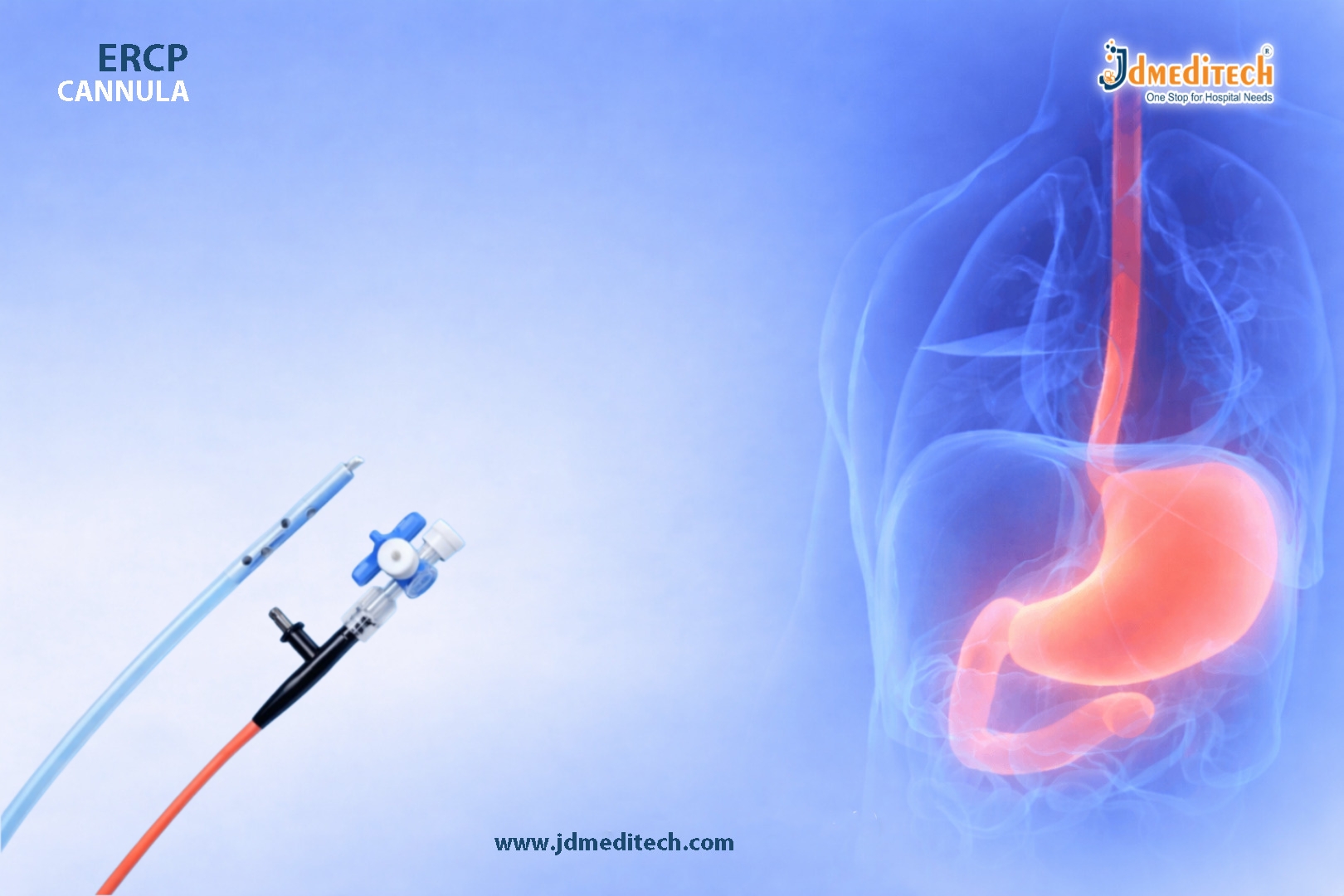 ERCP Cannula – Key Tool for Digestive Health & ERCP Procedures