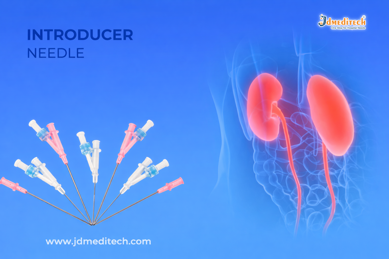 Essential Tool for Vascular Access in Dialysis – Introducer Needle
