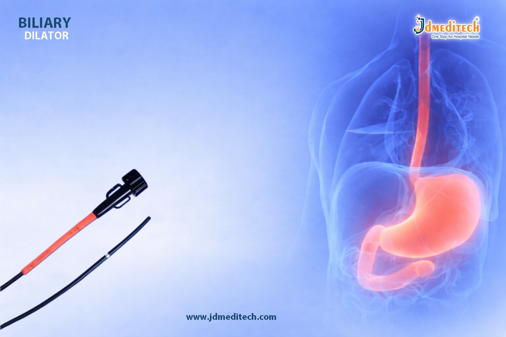 Biliary Dilator in Endoscopy for Effective Bile Duct Dilation