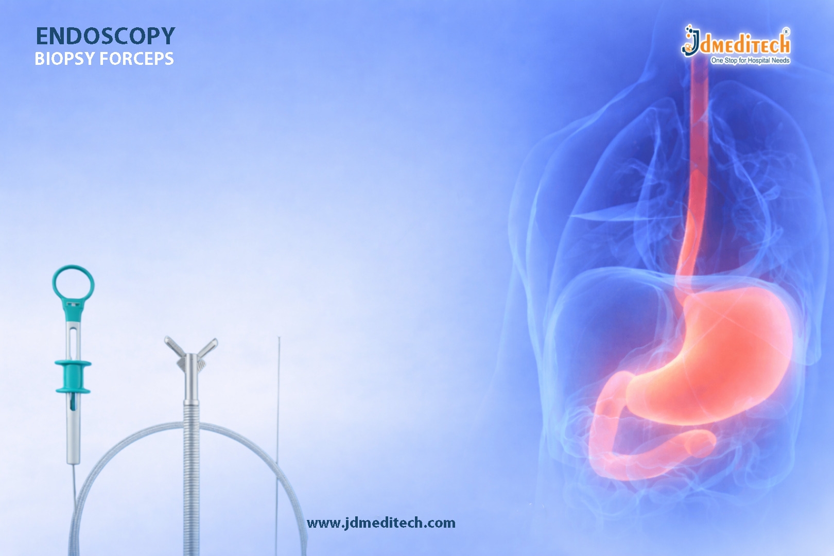 Endoscopy Biopsy Forceps for Accurate GI Tissue Sampling