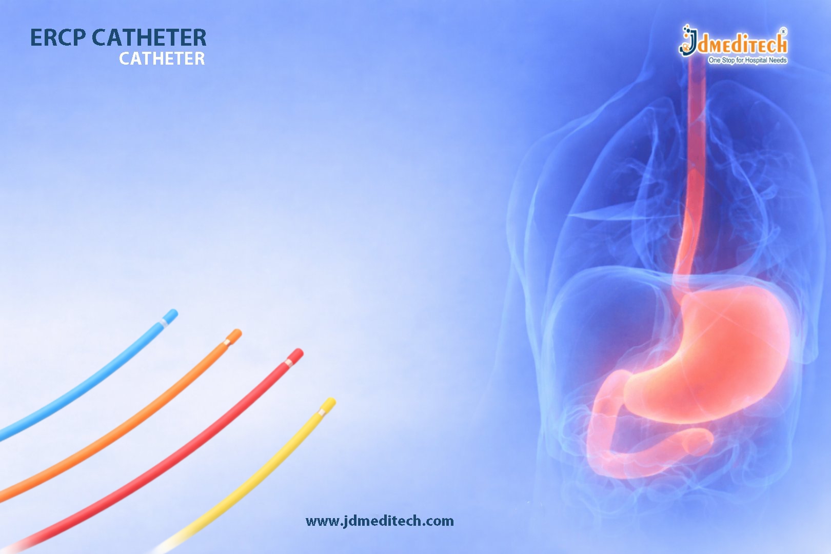 ERCP Guiding Catheter for Biliary Interventions | Complete Guide