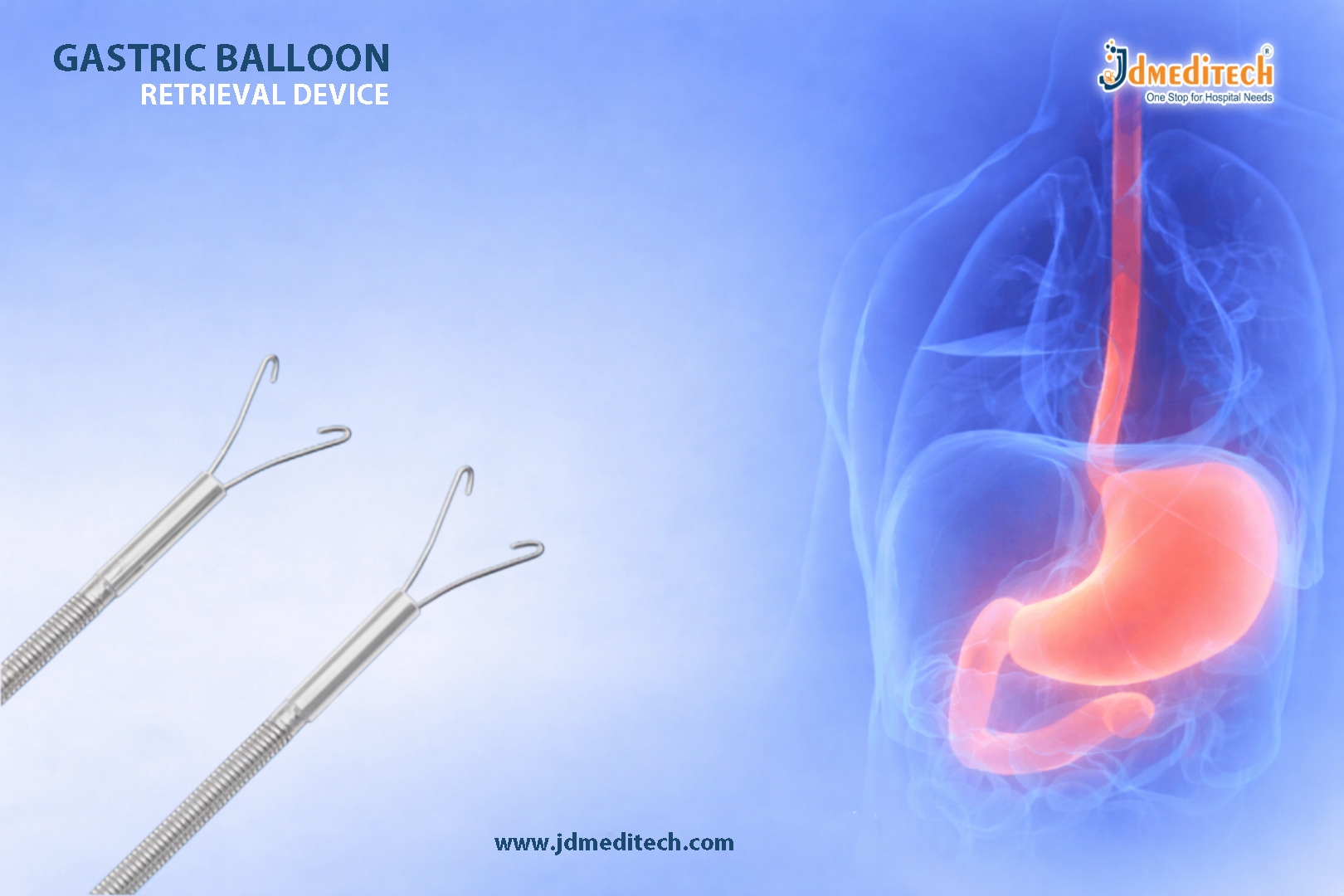 Gastric Balloon Retrieval Device for Safe Bariatric Endoscopy
