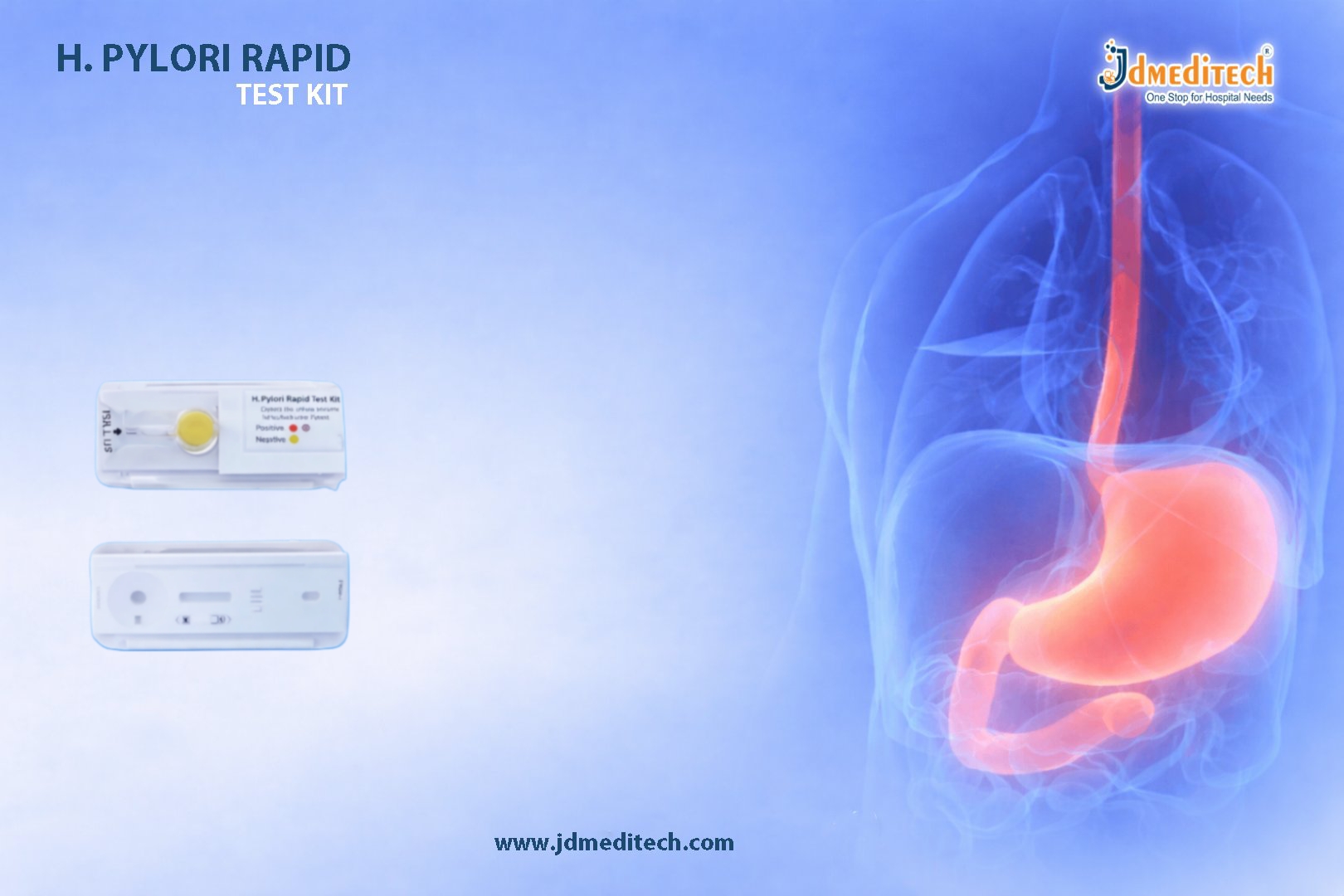 H. pylori Test Kit – Rapid & Reliable Gastric Infection Detection