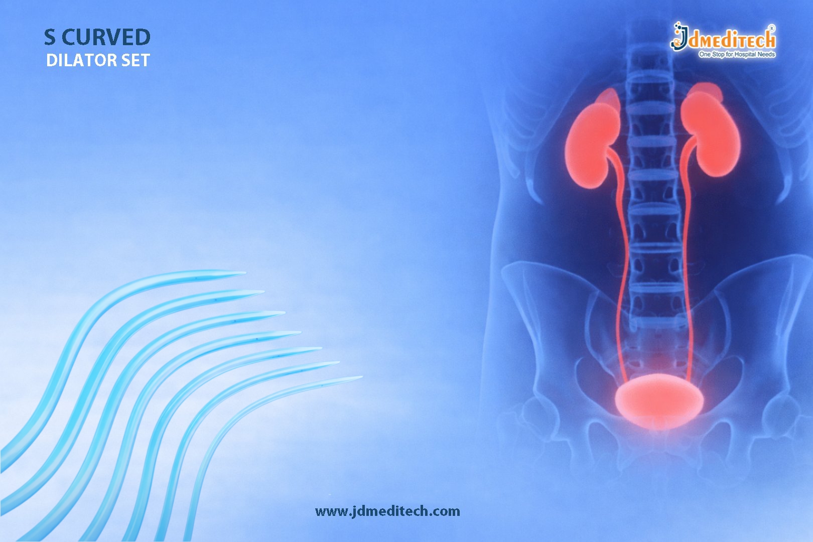 S Curved Dilator Set for Smooth Urethral Dilation