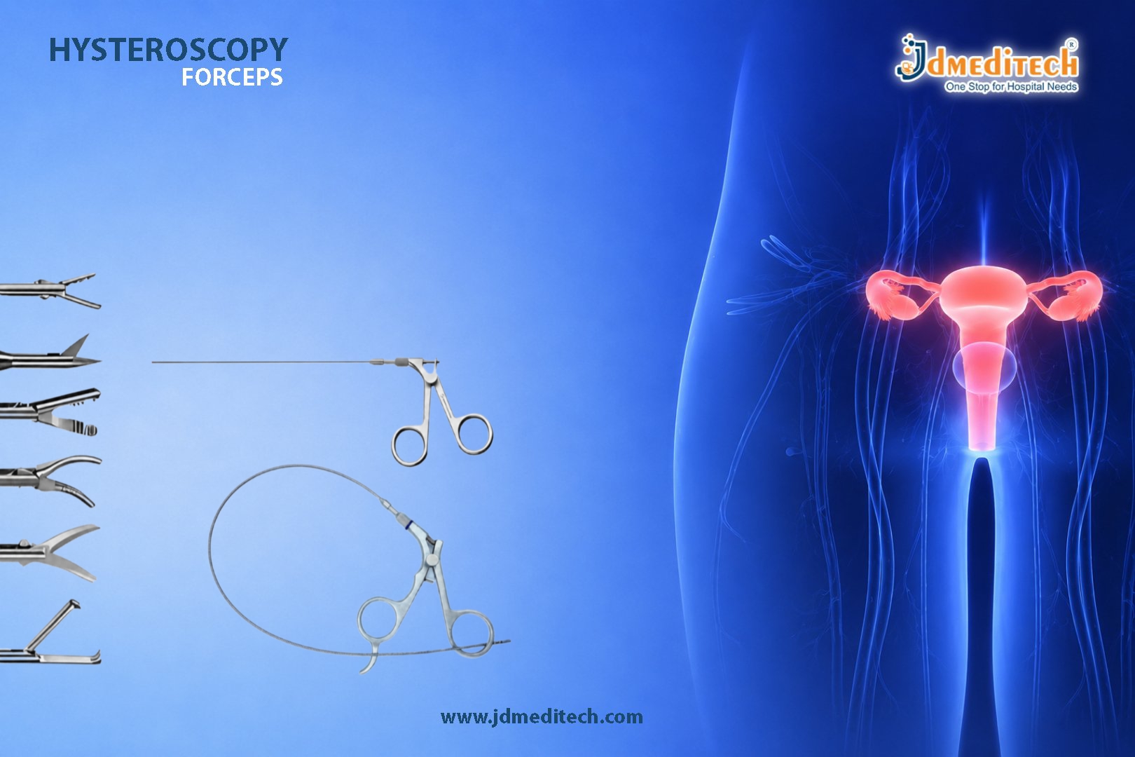 Hysteroscopy Forceps for Precision Minimally Invasive Gynecology