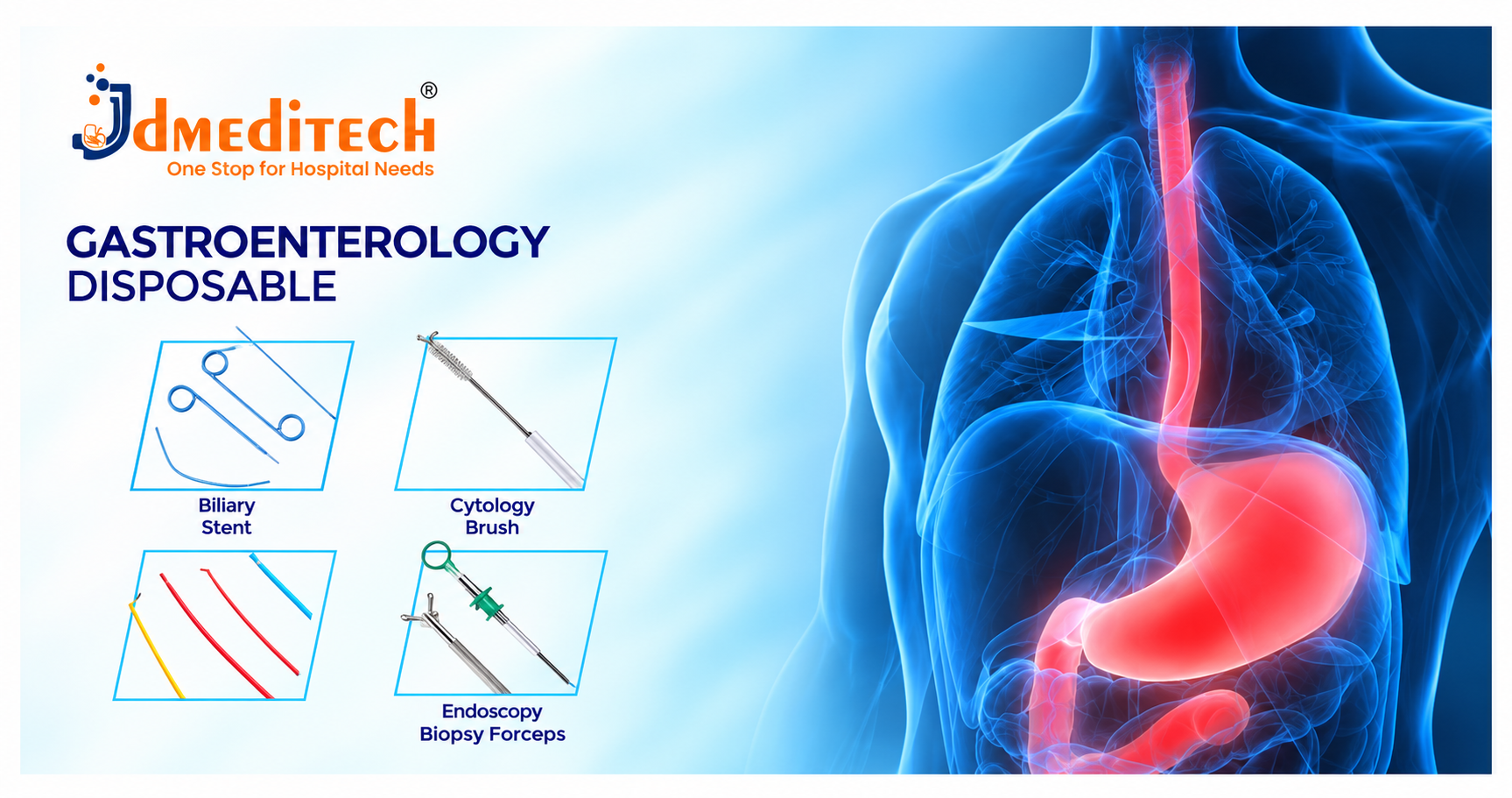 Gastroenterology Disposable Products: Endoscopy Accessories & Devices